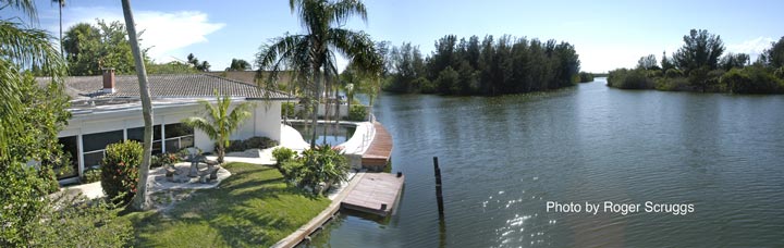 back yard & Docks