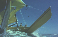 Hobie, sailboat racing, yacht races